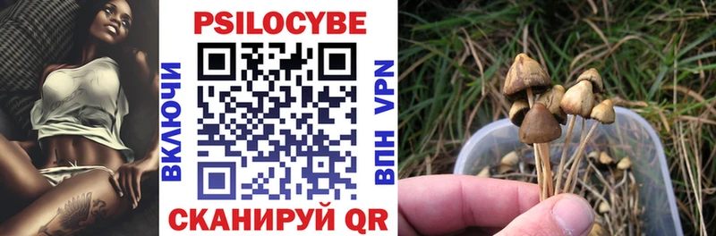 Купить где Динская Галлюциногенные грибы Psilocybine cubensis